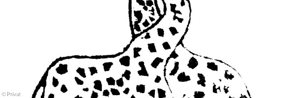 Giraffen Partnerschaft
