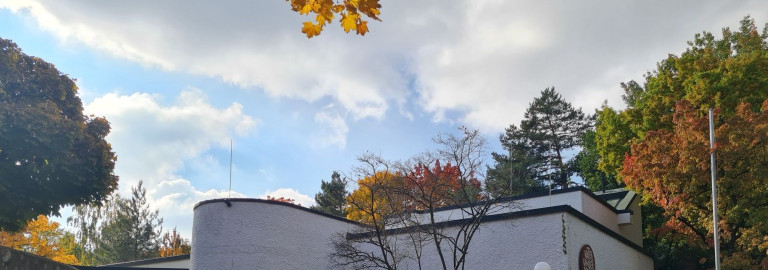 VUK Herbst Ausschnitt